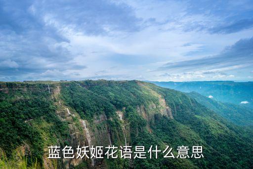 蓝色妖姬花语是什么意思