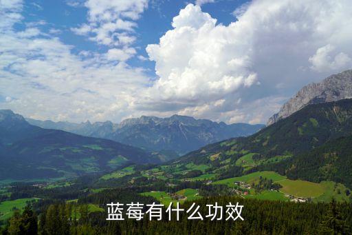 蓝莓有什么功效