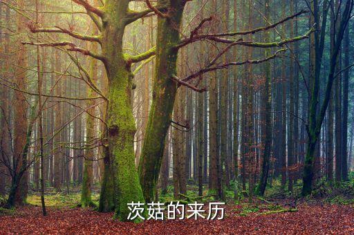兹菇，茨菇的来历