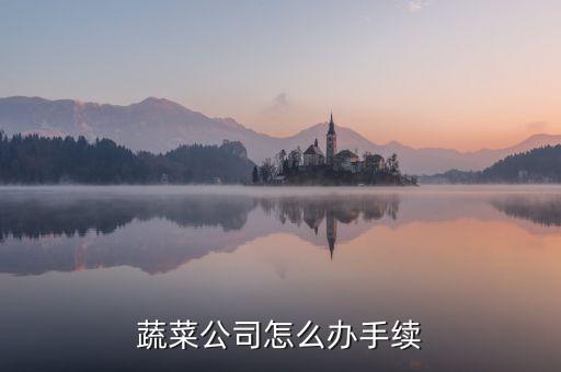 蔬菜公司怎么办手续