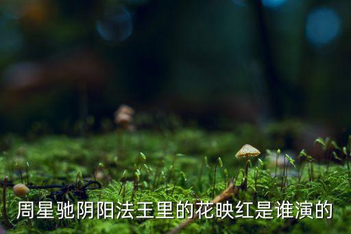 花映红，铁齿铜牙纪晓岚第三部花赛红谁扮演的