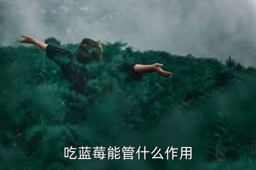 吃蓝莓能管什么作用