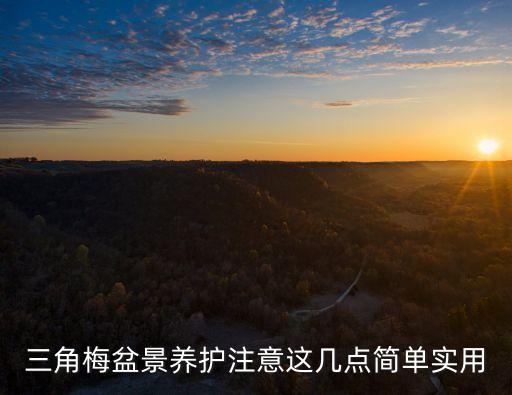 盆景三角梅，盆栽三角梅要注意哪些问题