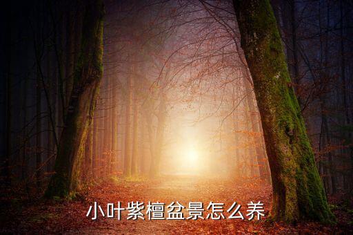 小叶紫檀盆景怎么养