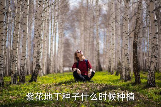紫花地丁种子，紫花地丁种子适合什么季节种