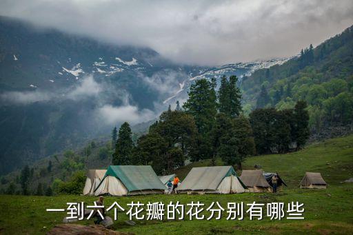 六瓣花，戒指六瓣花代表什么