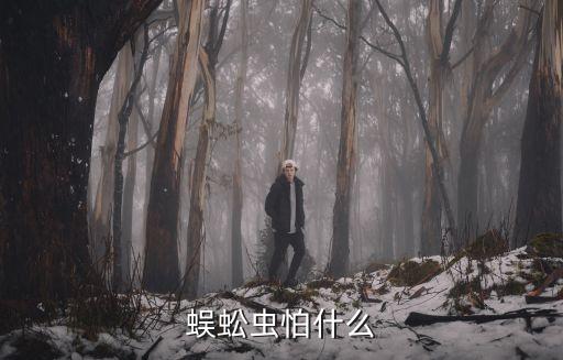 蜈蚣虫怕什么