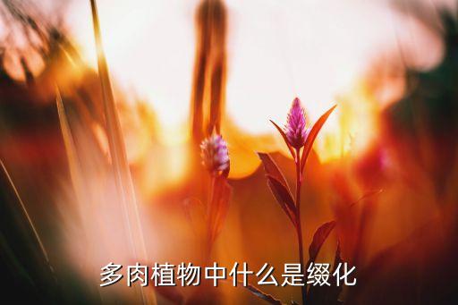 多肉缀化，如何让多肉缀化