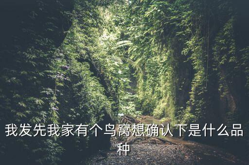 八哥蛋图片，是什么鸟儿蛋