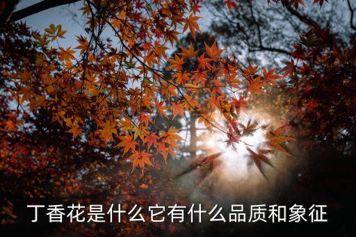 丁花香，丁花香的花语是什么