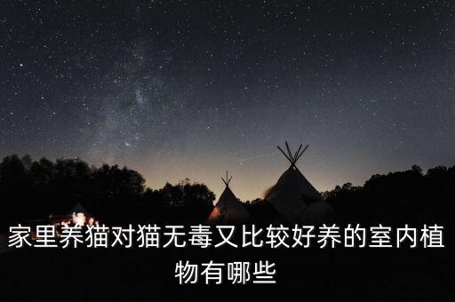 家里养猫对猫无毒又比较好养的室内植物有哪些
