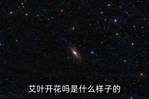 艾叶开花吗是什么样子的