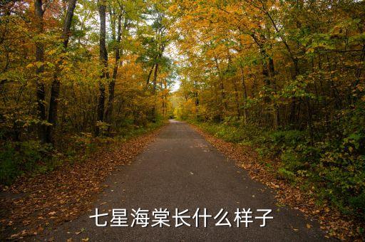 海棠花长什么样子，七星海棠长什么样子