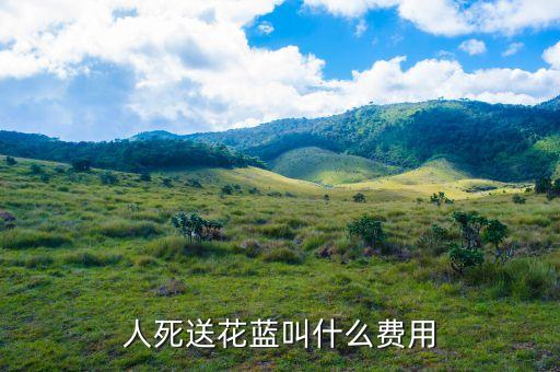 人死送花蓝叫什么费用