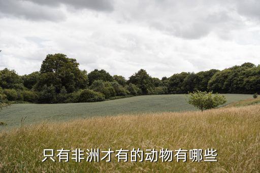 非洲有什么动物，只有非洲才有的动物有哪些