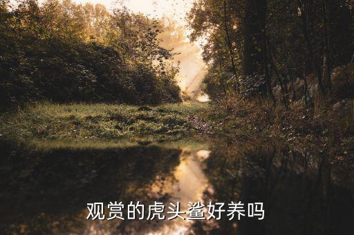 虎头鲨，虎头鲨和鲨鱼之间有什么区别