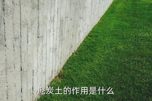 泥炭土，泥炭土是什么