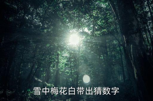 雪中梅花白带出猜数字