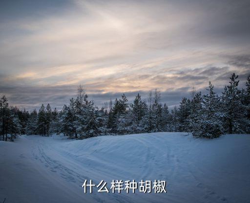 什么样种胡椒