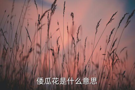 南瓜花，南瓜花是不是完全花