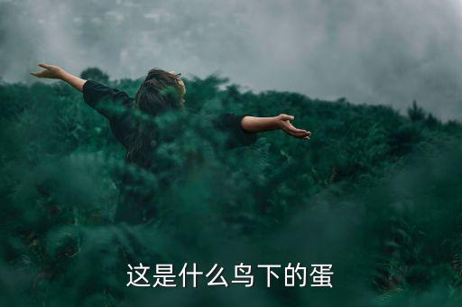 棕头鸦雀，大家帮看看 这是什么鸟