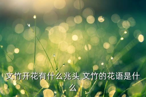 文竹开花有什么兆头 文竹的花语是什么