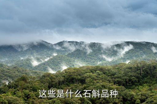 珍虫石斛，胆汁反流性胃炎可以吃燕窝吗