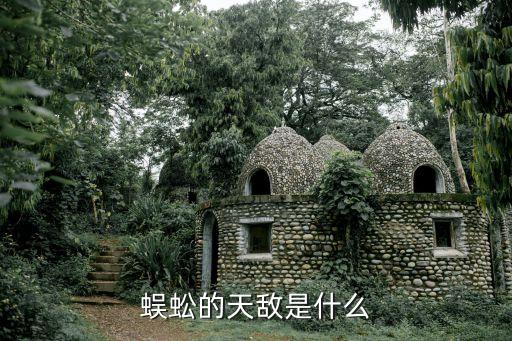 蜈蚣的天敌是什么