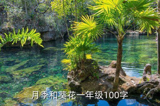 月季和葵花一年级100字