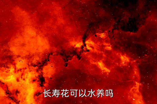 长寿花可以水养吗