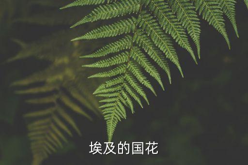 埃及的国花