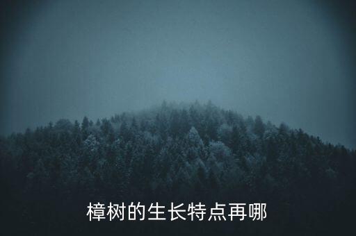 香樟树的特点，樟树有哪些特点
