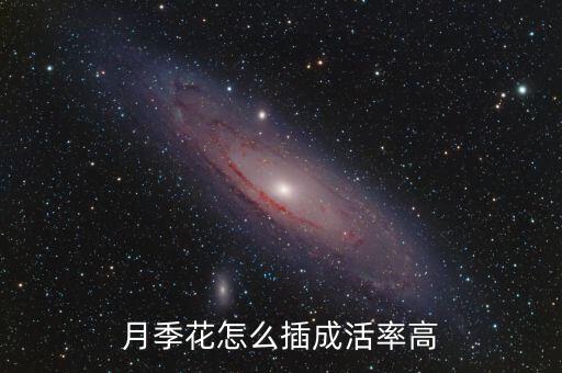 月季怎样扦插，月季扦插方法