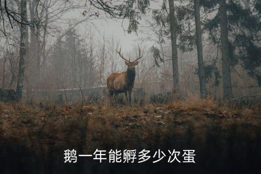 伊犁鹅，中国现有鹅品种27种中国适合养殖哪些鹅品种