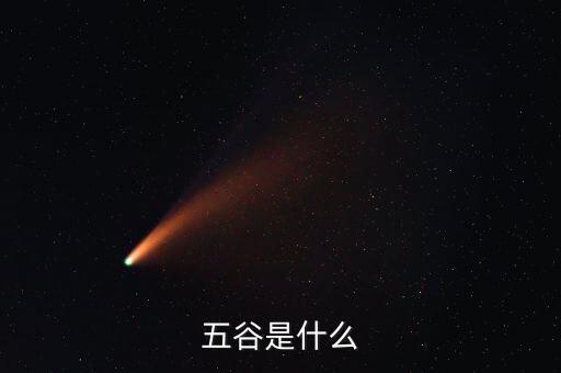 五谷是指什么，五谷是什么