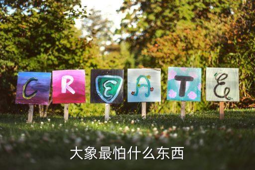 大象最怕什么东西
