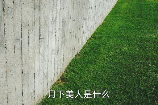 月下美人是什么