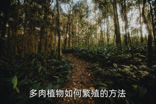 多肉植物如何繁殖的方法