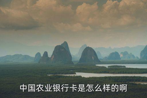 中国农业银行卡是怎么样的啊