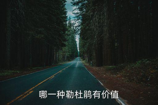 哪一种勒杜鹃有价值