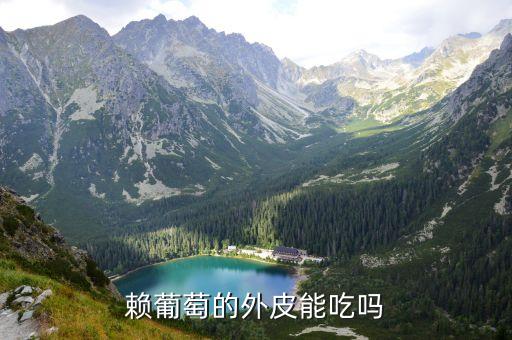 赖葡萄的外皮能吃吗