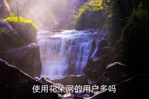 花儿网，花朵网怎么找呀可不可以告诉我
