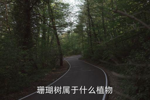 珊瑚树属于什么植物