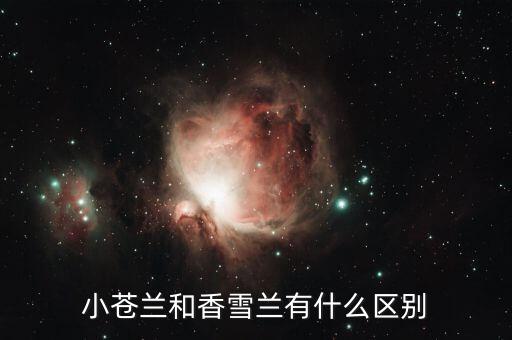 小苍兰和香雪兰有什么区别