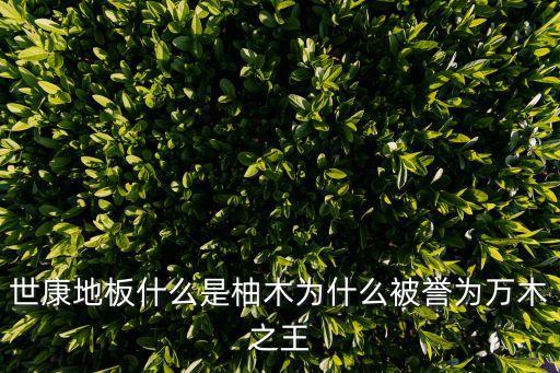 世康地板什么是柚木为什么被誉为万木之王
