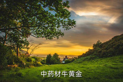 中药材牛黄金