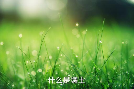 什么是壤土