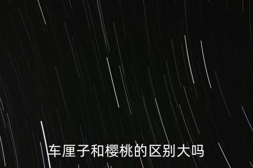 车厘子和樱桃的区别大吗