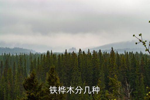 铁桦木分几种