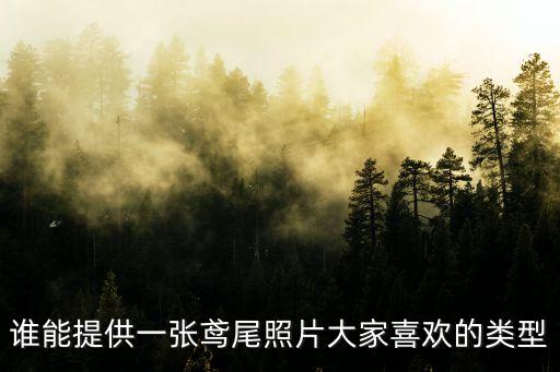 谁能提供一张鸢尾照片大家喜欢的类型